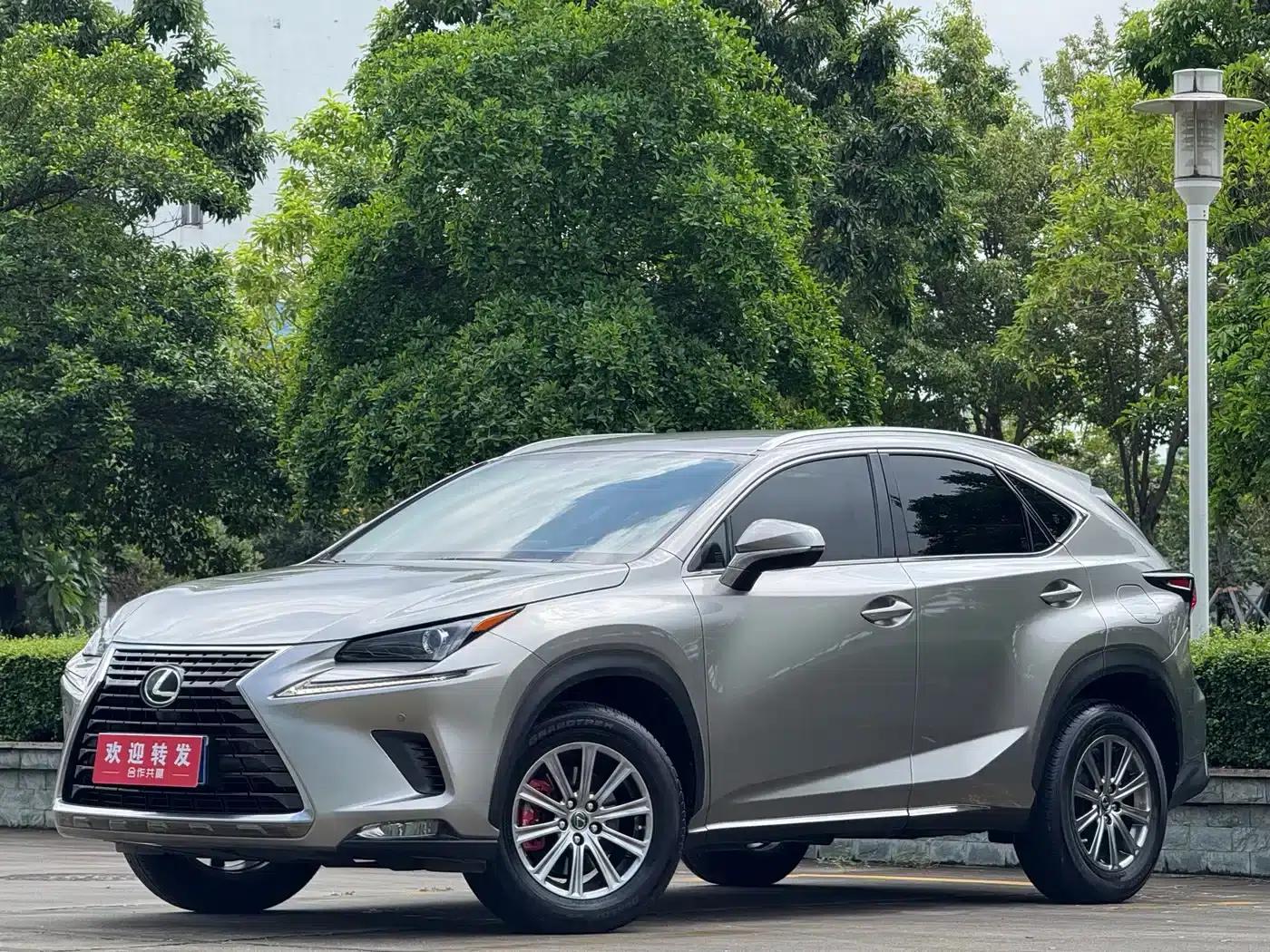 Lexus NX 2020 200 FWD Avant Edition (China VI Emission Standard) — миниатюра 1