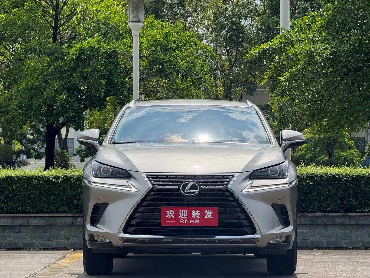 Lexus NX 2020 200 FWD Avant Edition (China VI Emission Standard) — миниатюра 2