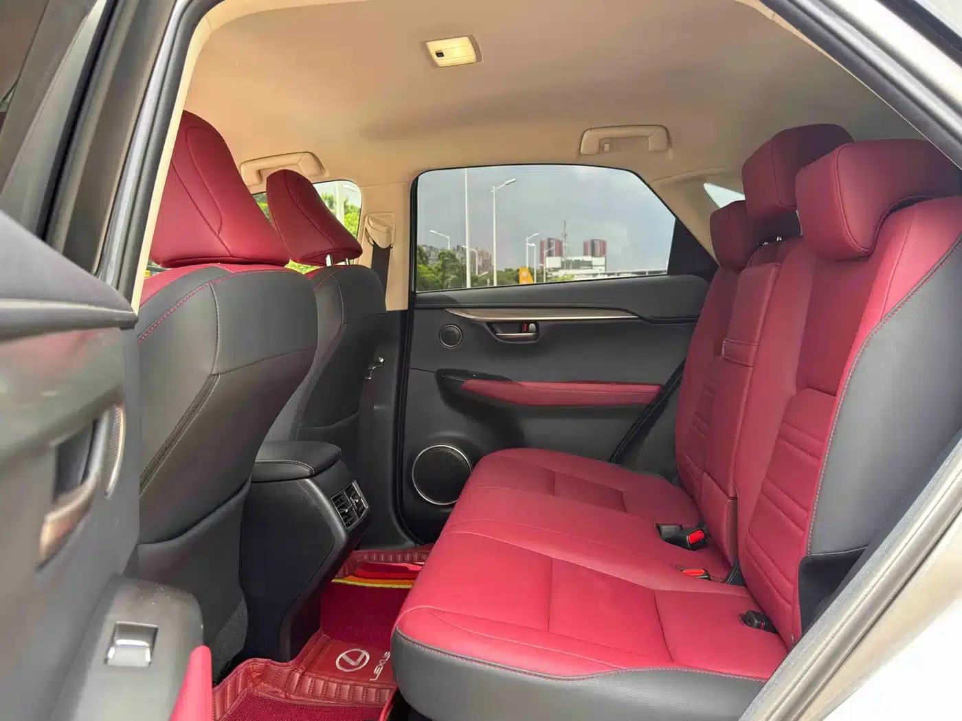 Lexus NX 2020 200 FWD Avant Edition (China VI Emission Standard) — миниатюра 9