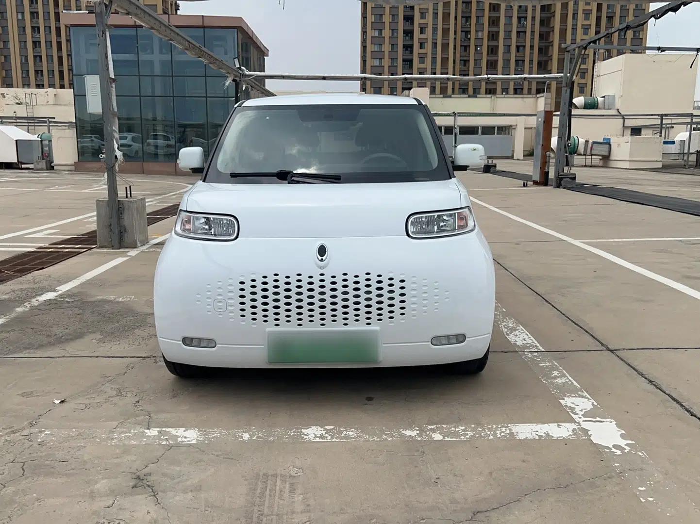 ORA White Cat 2022 Upgraded Model 305km Range Luxury Version Lithium-Ion Battery — миниатюра 2