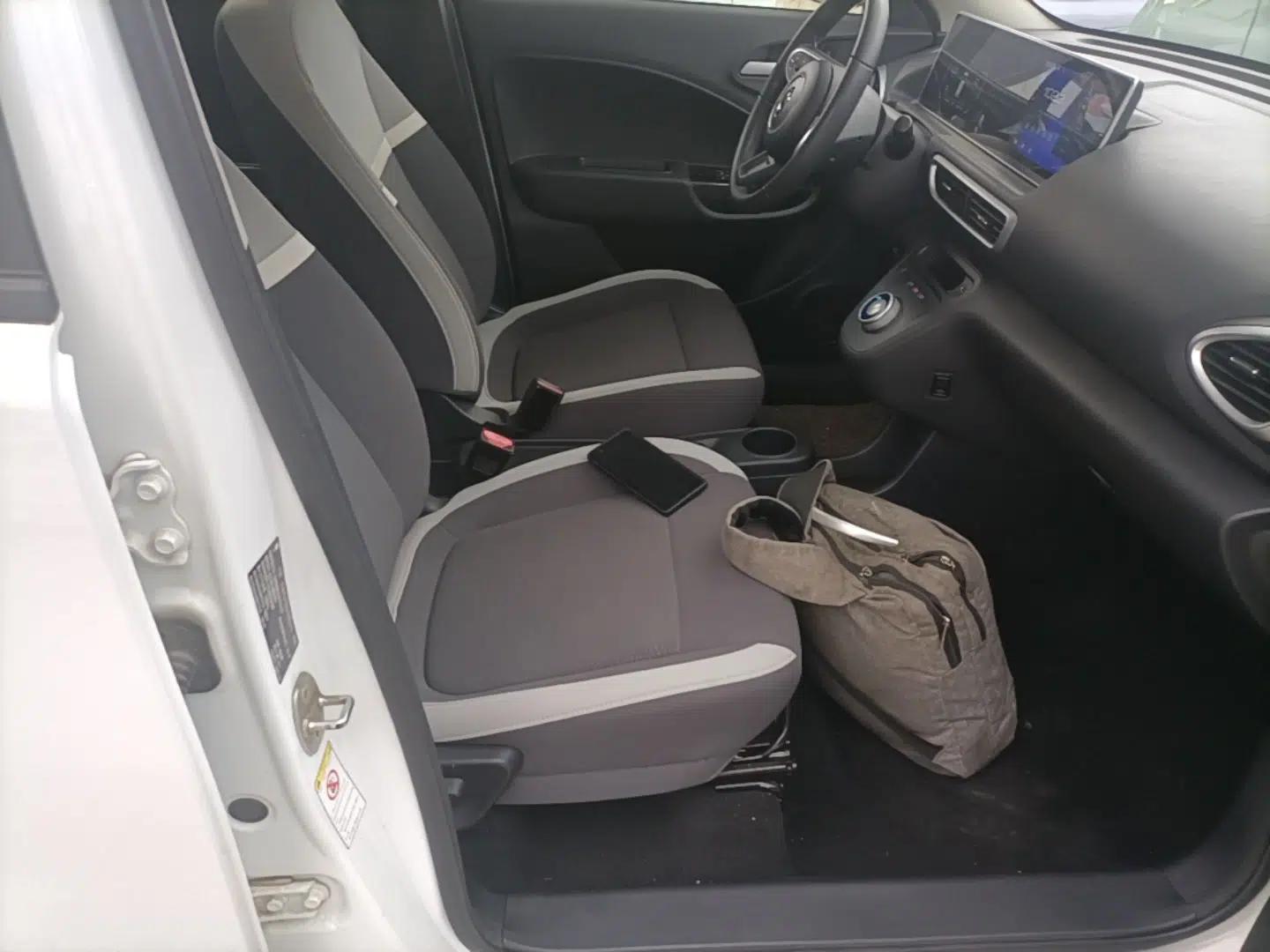 ORA White Cat 2020 360 km Luxury Version — миниатюра 19