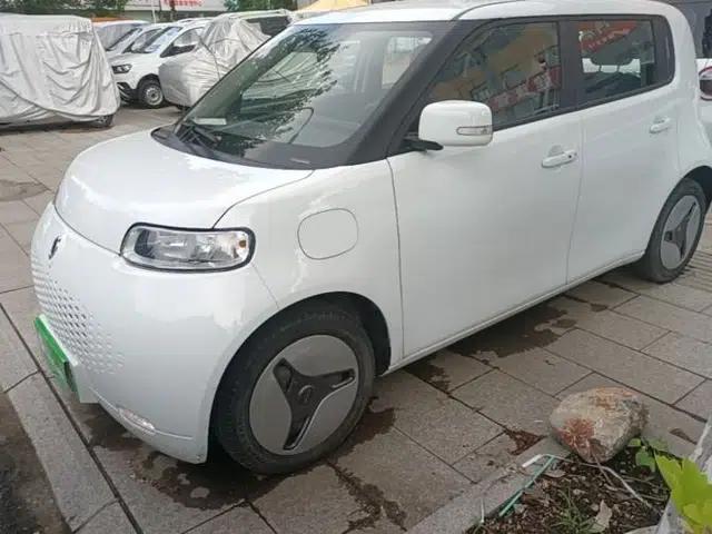 ORA White Cat 2020 360 km Luxury Version