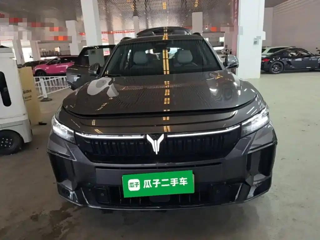 Voyah Free 2025 Model 318 318km Rear-Wheel Drive Touring Edition — миниатюра 3