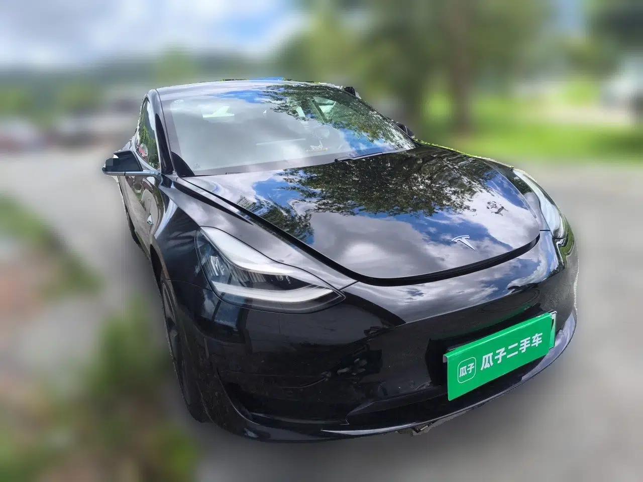 Tesla Model 3 2019 Standard Range Rear-Drive Upgraded Version — миниатюра 3
