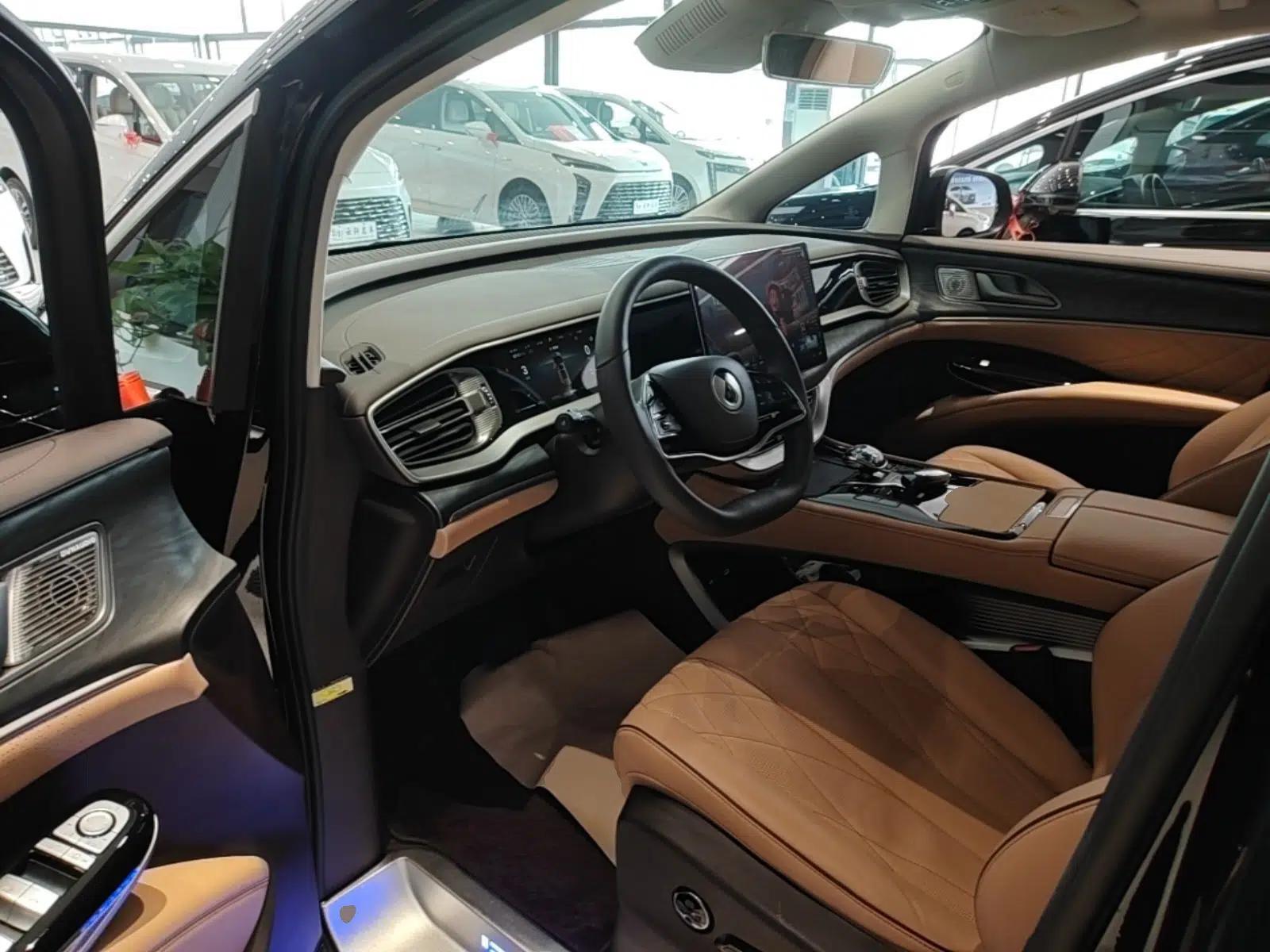 Denza D9 2024 DM-i 1050 Luxury Model — миниатюра 17