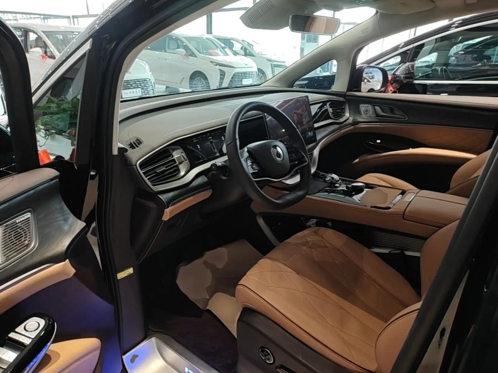 Denza D9 2024 DM-i 1050 Luxury Model — миниатюра 18