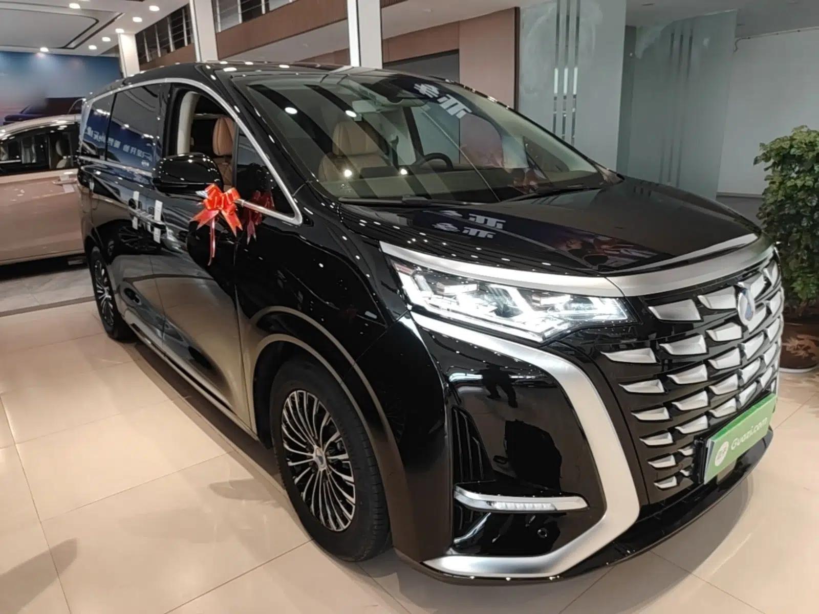 Denza D9 2024 DM-i 1050 Luxury Model — миниатюра 3