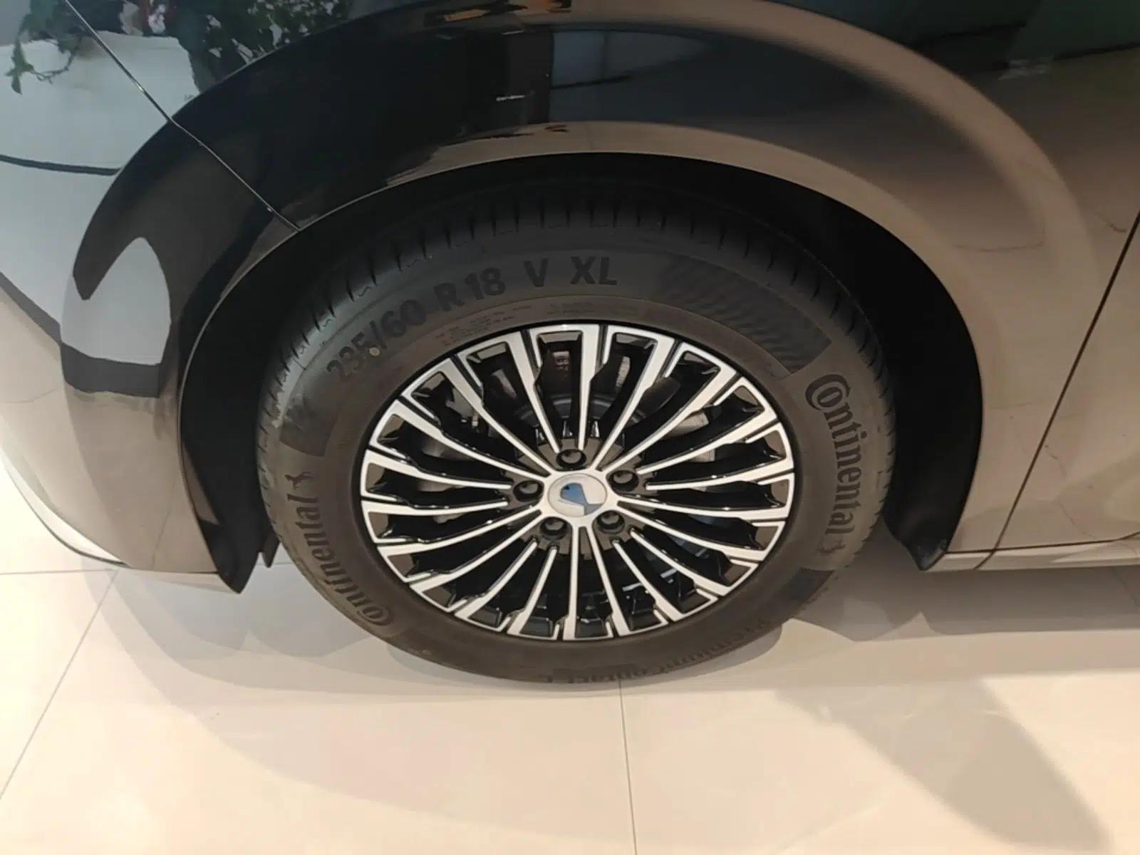 Denza D9 2024 DM-i 1050 Luxury Model — миниатюра 10