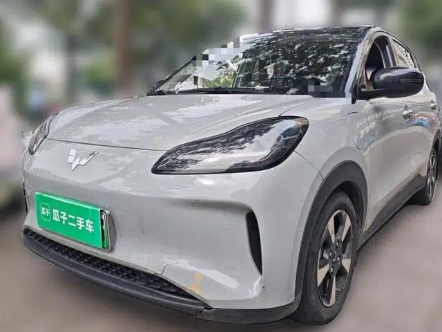 Wuling Bingo PLUS 2024 510 km Flagship Edition Four-Seater Version