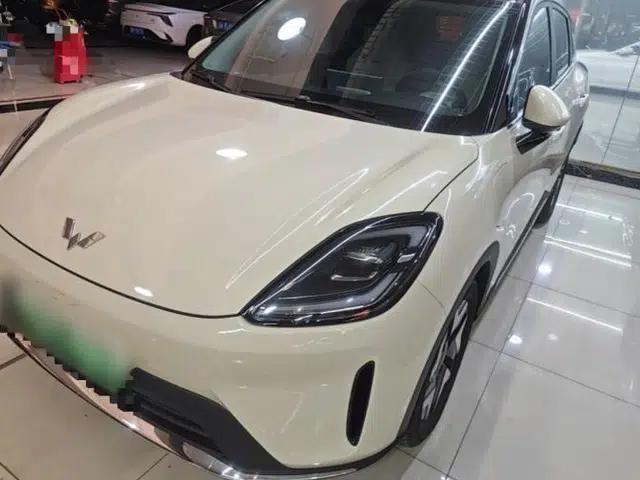 Wuling Bingo S 2025 Model 430km Flagship Edition
