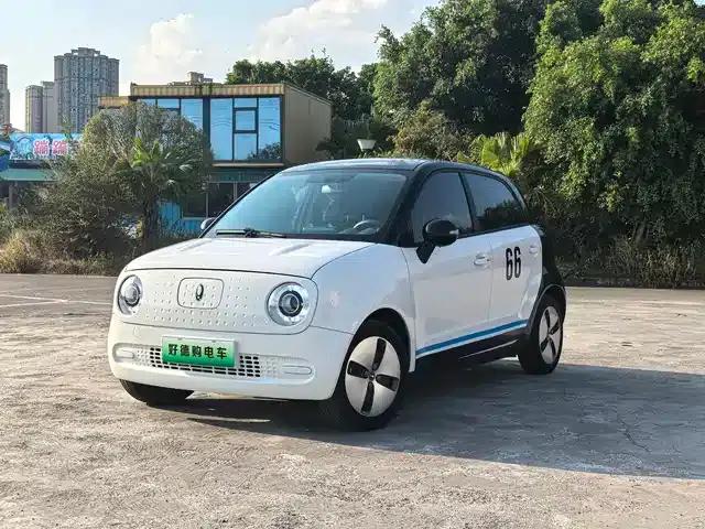 ORA Black Cat 2022 Model 301km Pet Edition Lithium Iron Phosphate