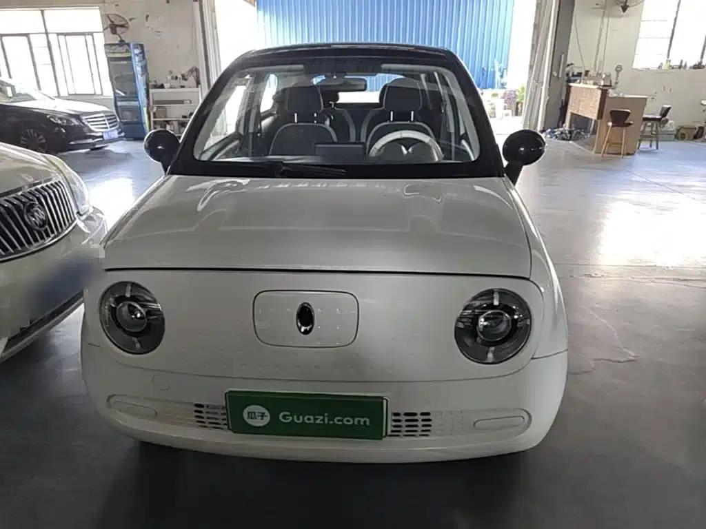 ORA Black Cat 2021 Model 301km Pet Edition — миниатюра 3