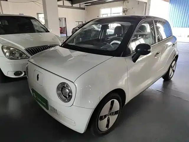 ORA Black Cat 2021 Model 301km Pet Edition