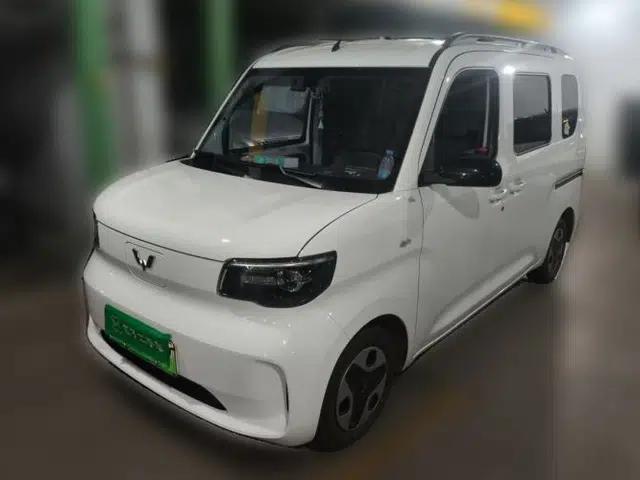 Wuling Zhiguang New Energy 2025 Comfort Model