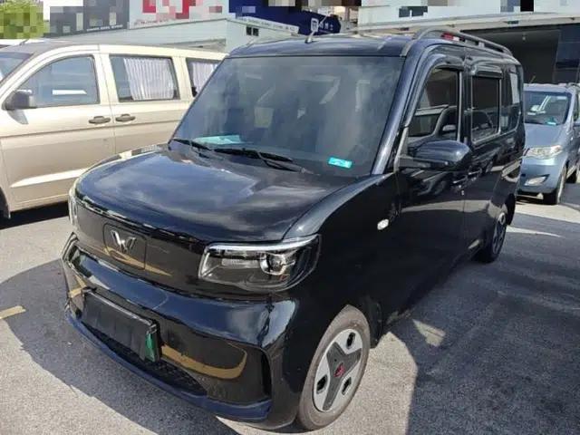 Wuling Zhiguang New Energy 2025 Model 305km Ambitious Edition