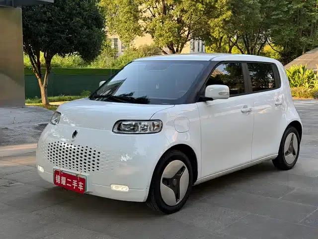 ORA White Cat 2020 Model 360km Standard Edition