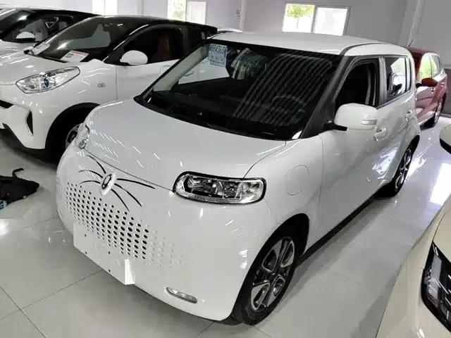 ORA White Cat 2022 Upgraded Version 305km Luxury Triple Lithium Lithium