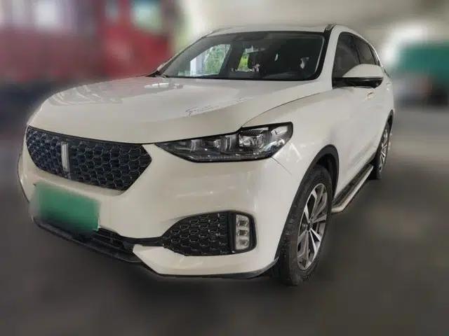 Wey VV6 2020 2.0T Two-Wheel Drive Smart Protection+