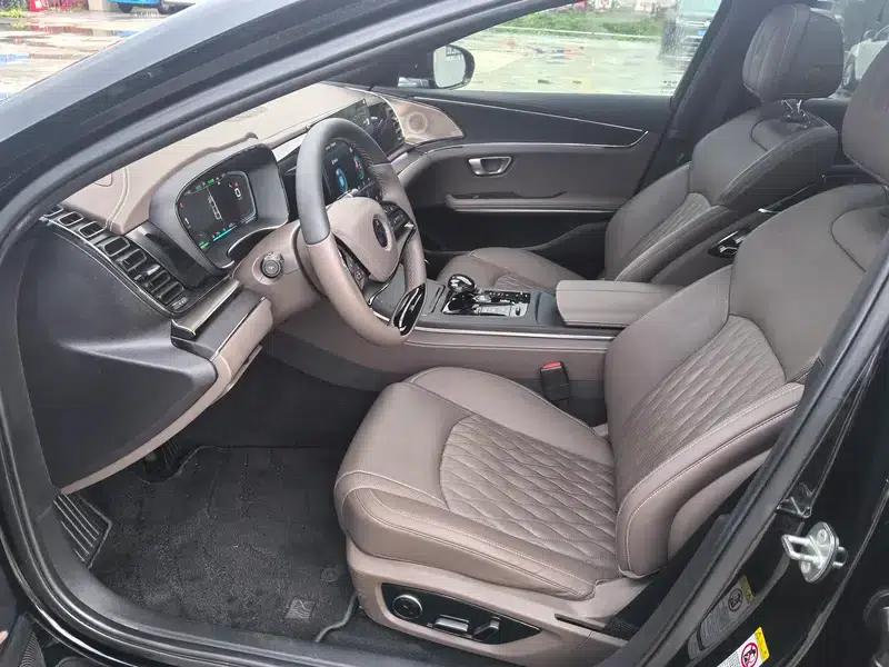 Han EV 2020 Extended Range Premium Edition — миниатюра 15