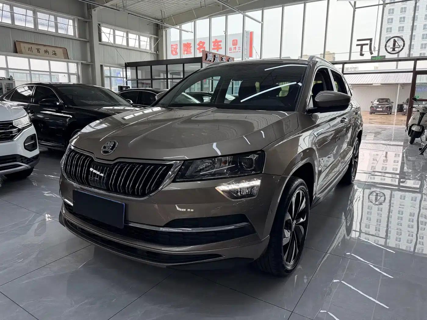 Karoq 2022 TSI280 Premium Edition — миниатюра 1