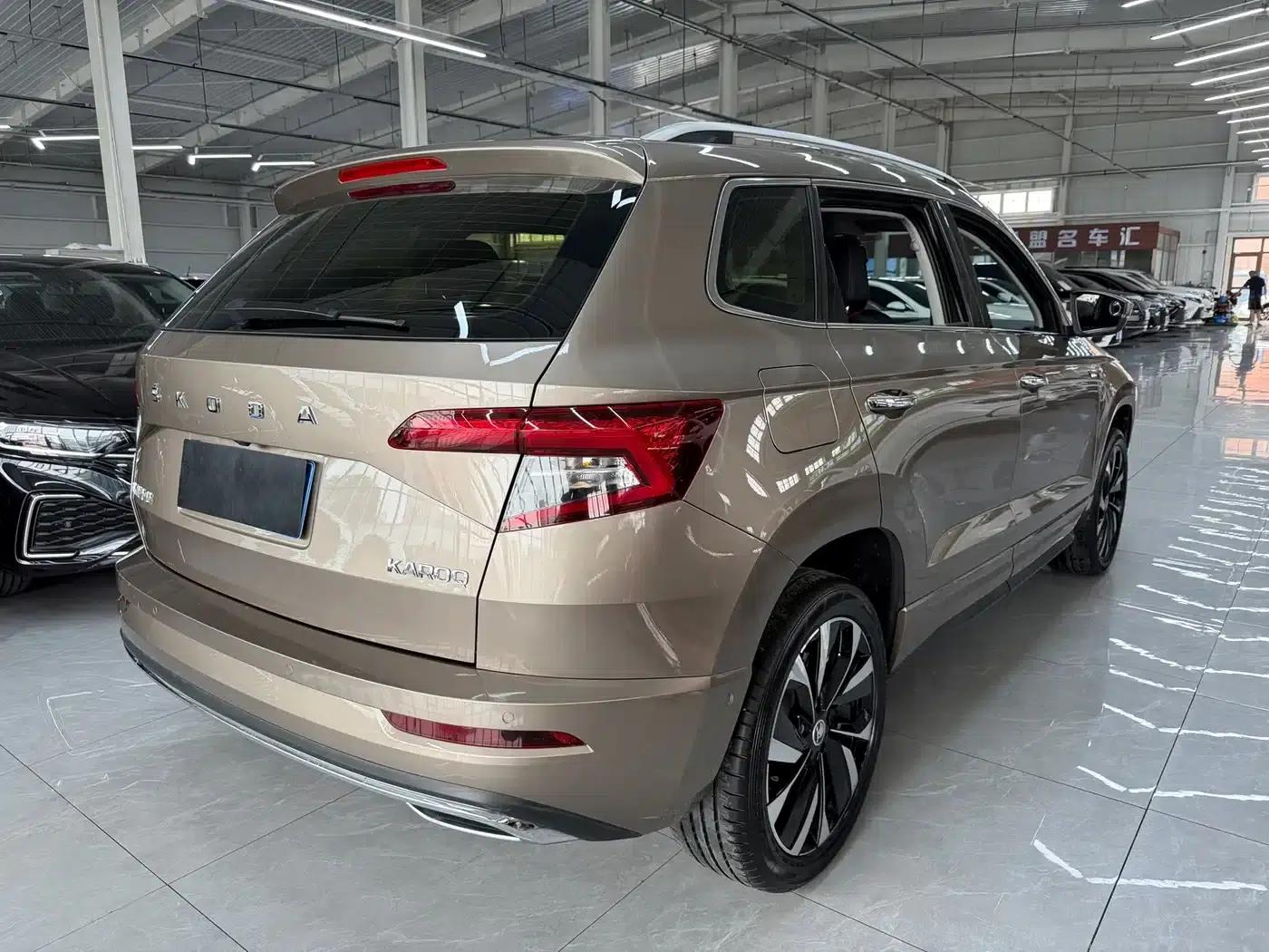 Karoq 2022 TSI280 Premium Edition — миниатюра 4