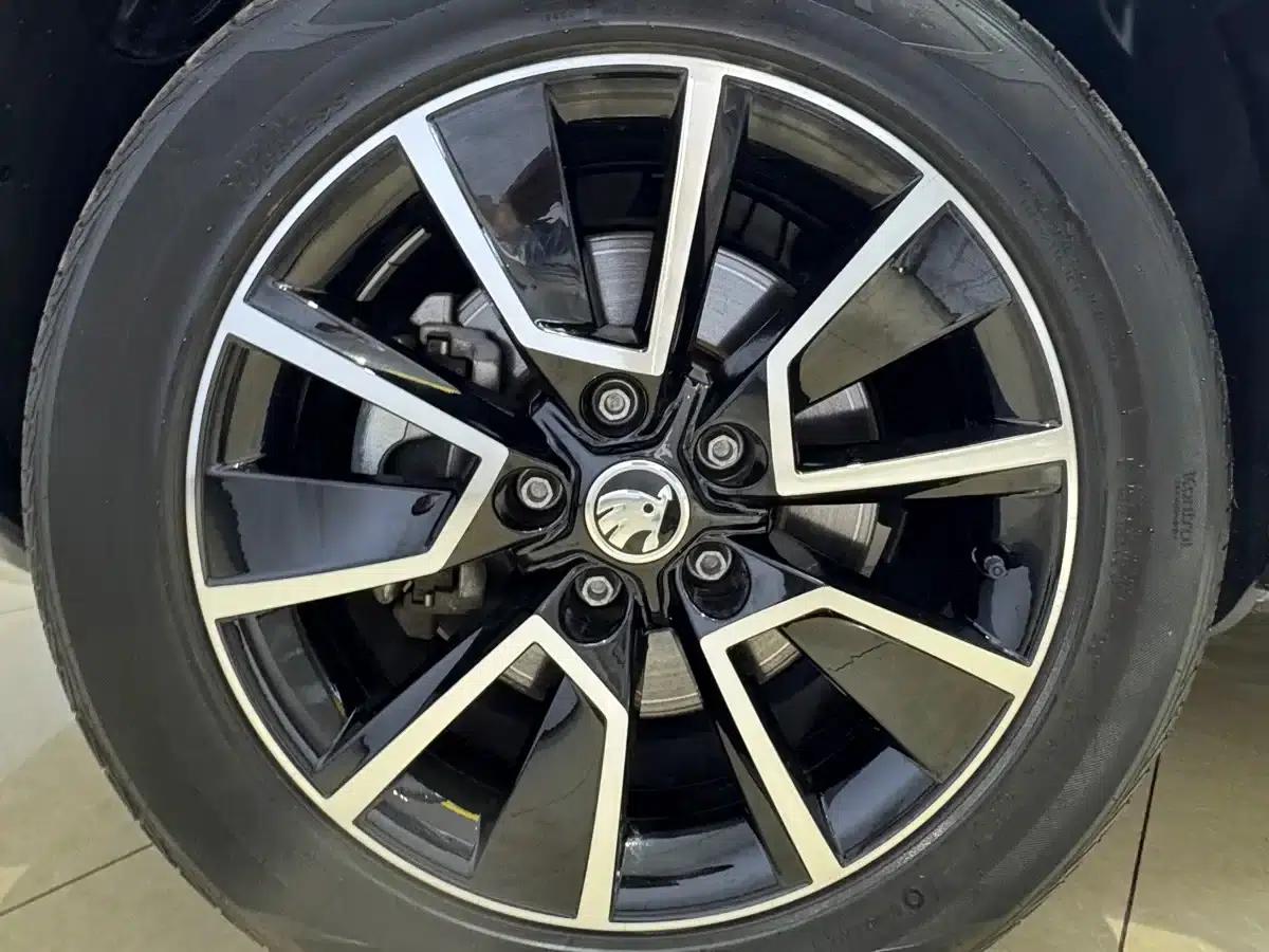 Karoq 2022 TSI280 Premium Edition — миниатюра 25