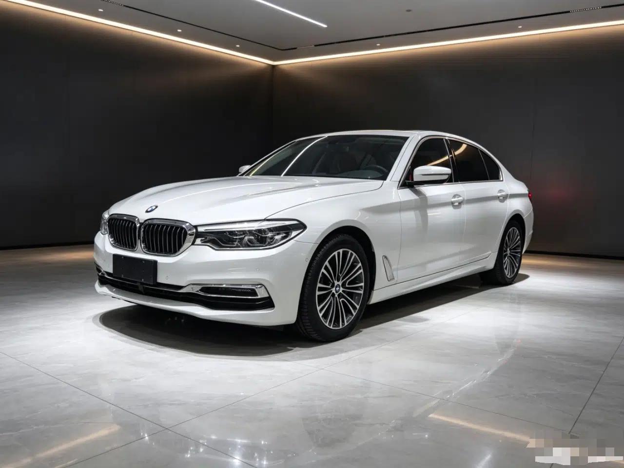 BMW 5 Series 2019 530Li Luxury Edition Premium Package — миниатюра 1