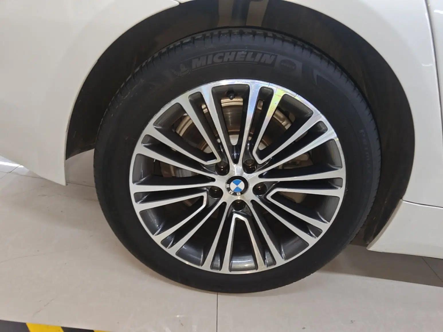BMW 5 Series 2019 530Li Luxury Edition Premium Package — миниатюра 11