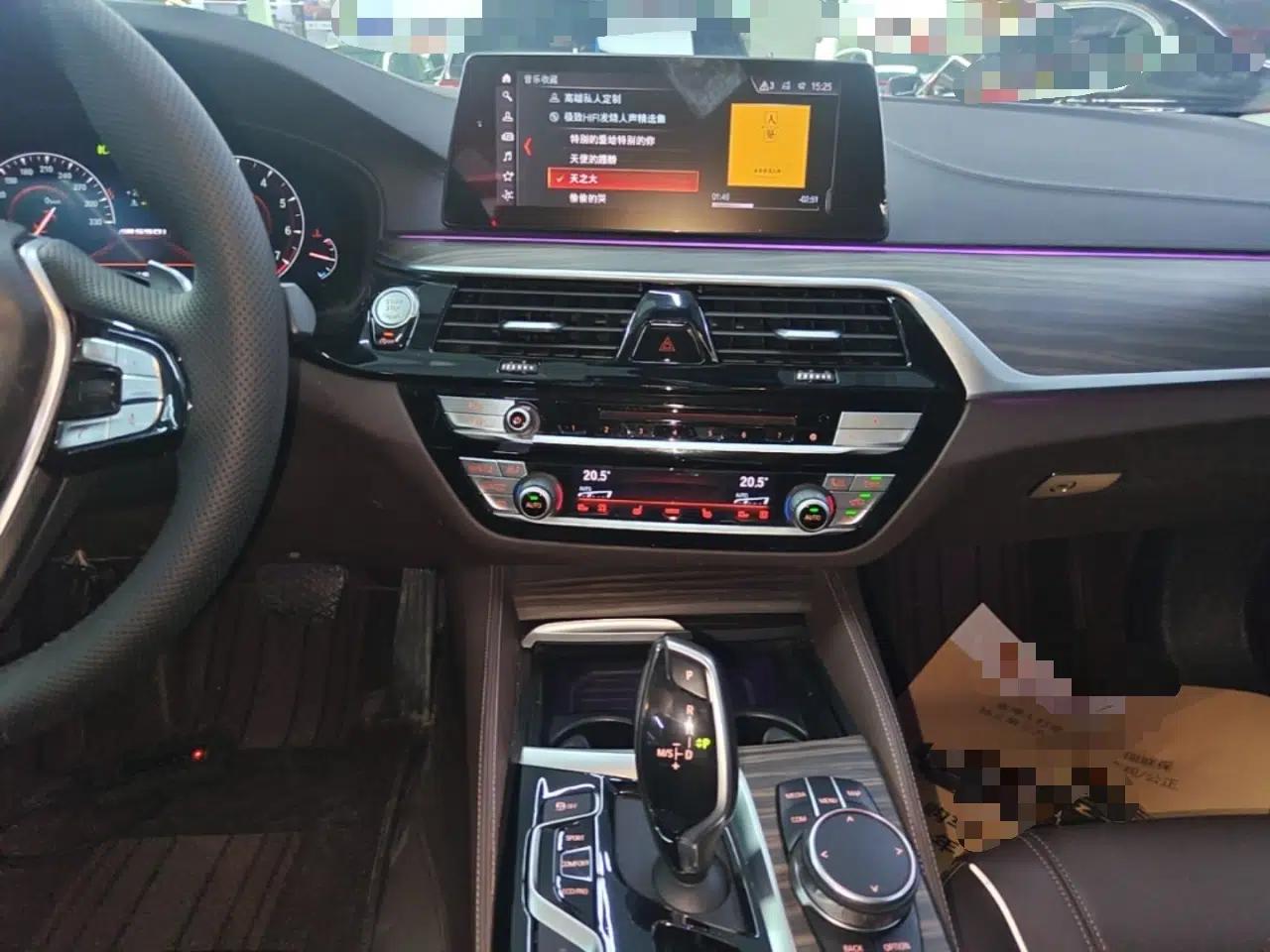BMW 5 Series 2019 530Li Luxury Edition Premium Package — миниатюра 15