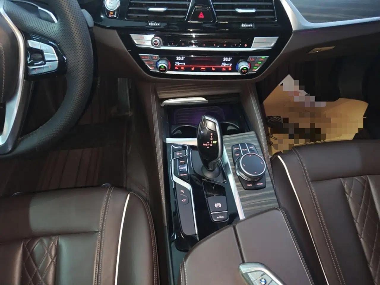 BMW 5 Series 2019 530Li Luxury Edition Premium Package — миниатюра 16