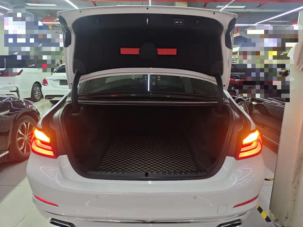 BMW 5 Series 2019 530Li Luxury Edition Premium Package — миниатюра 22