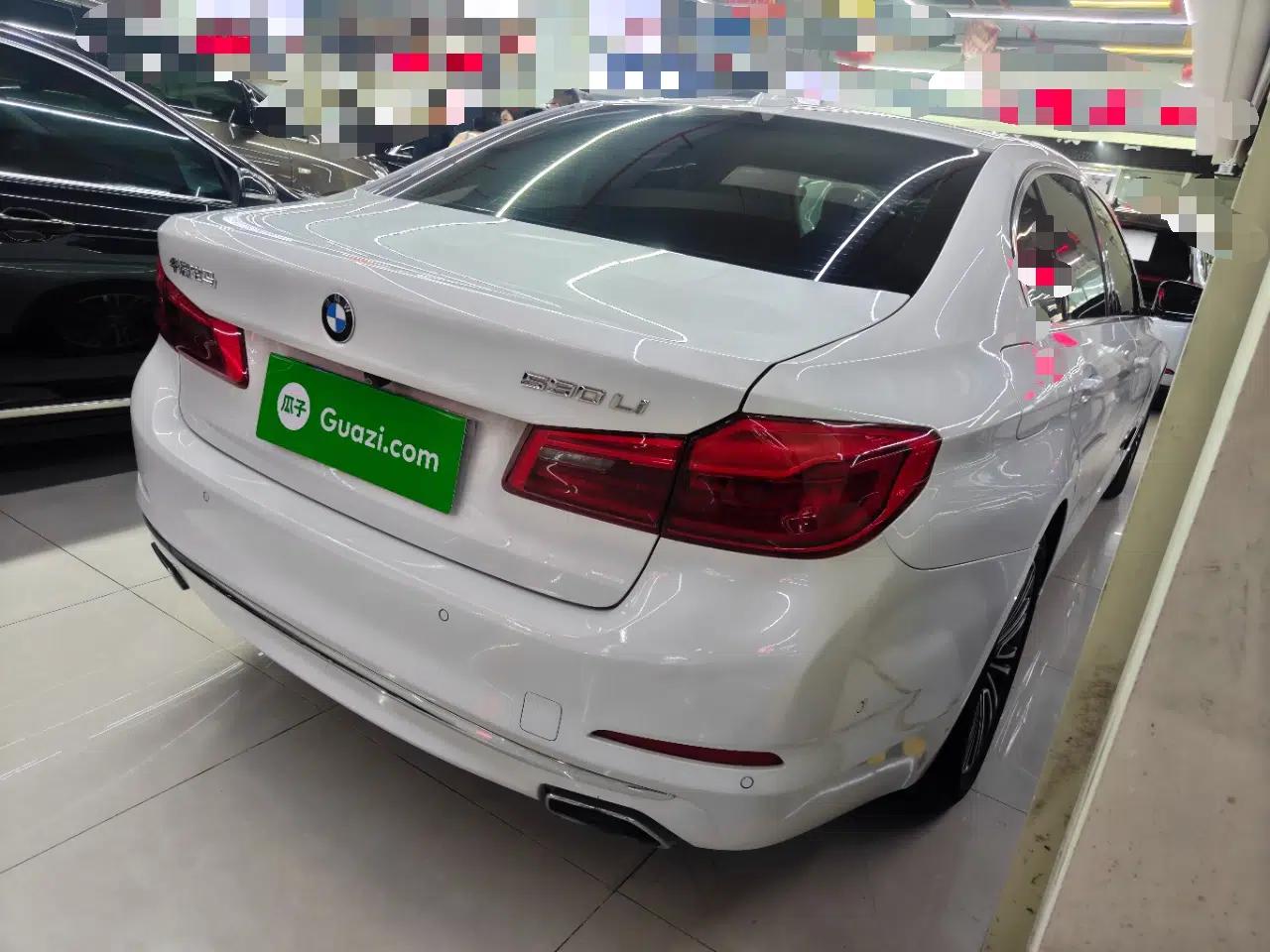 BMW 5 Series 2019 530Li Luxury Edition Premium Package — миниатюра 6