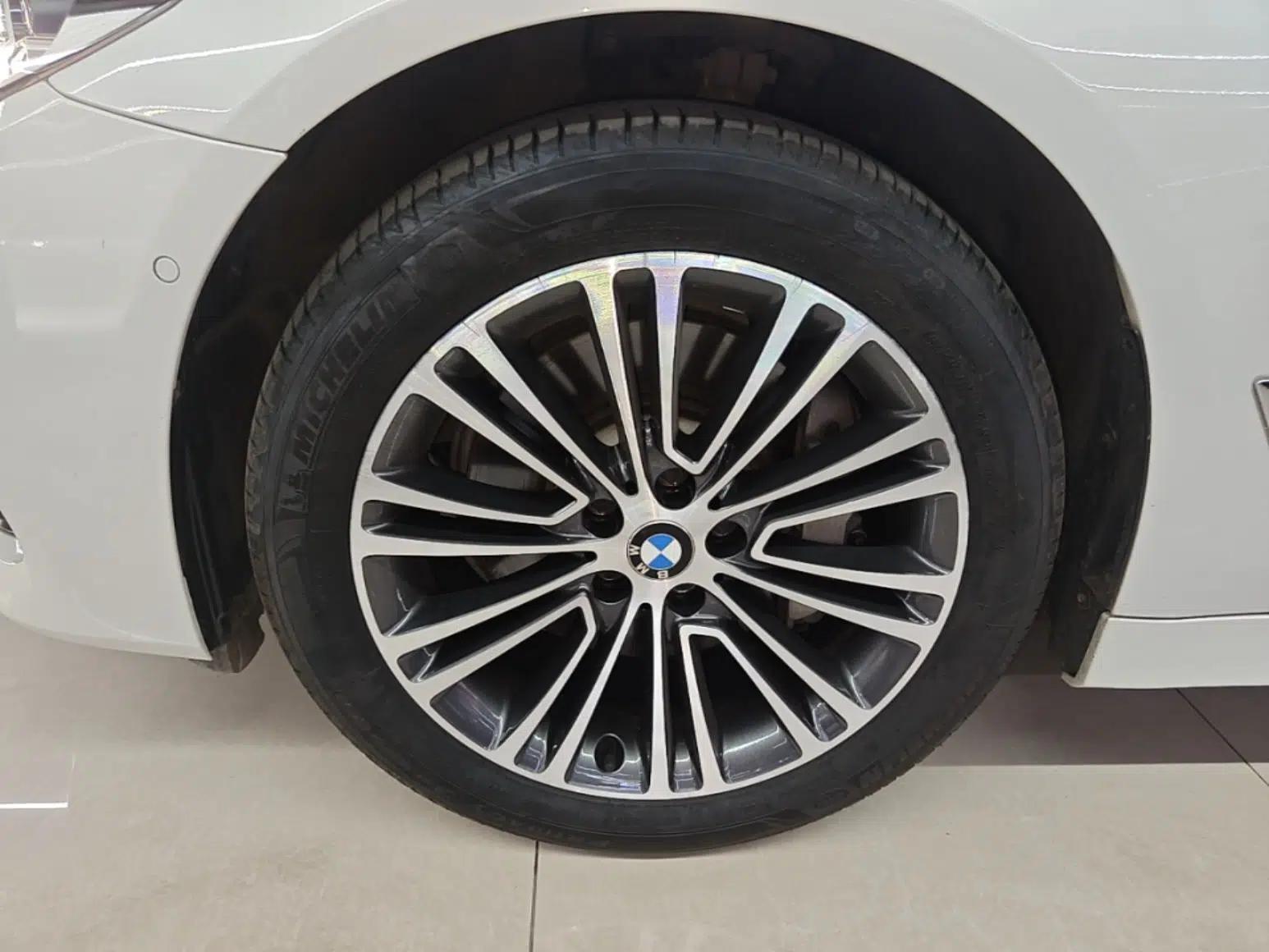 BMW 5 Series 2019 530Li Luxury Edition Premium Package — миниатюра 10
