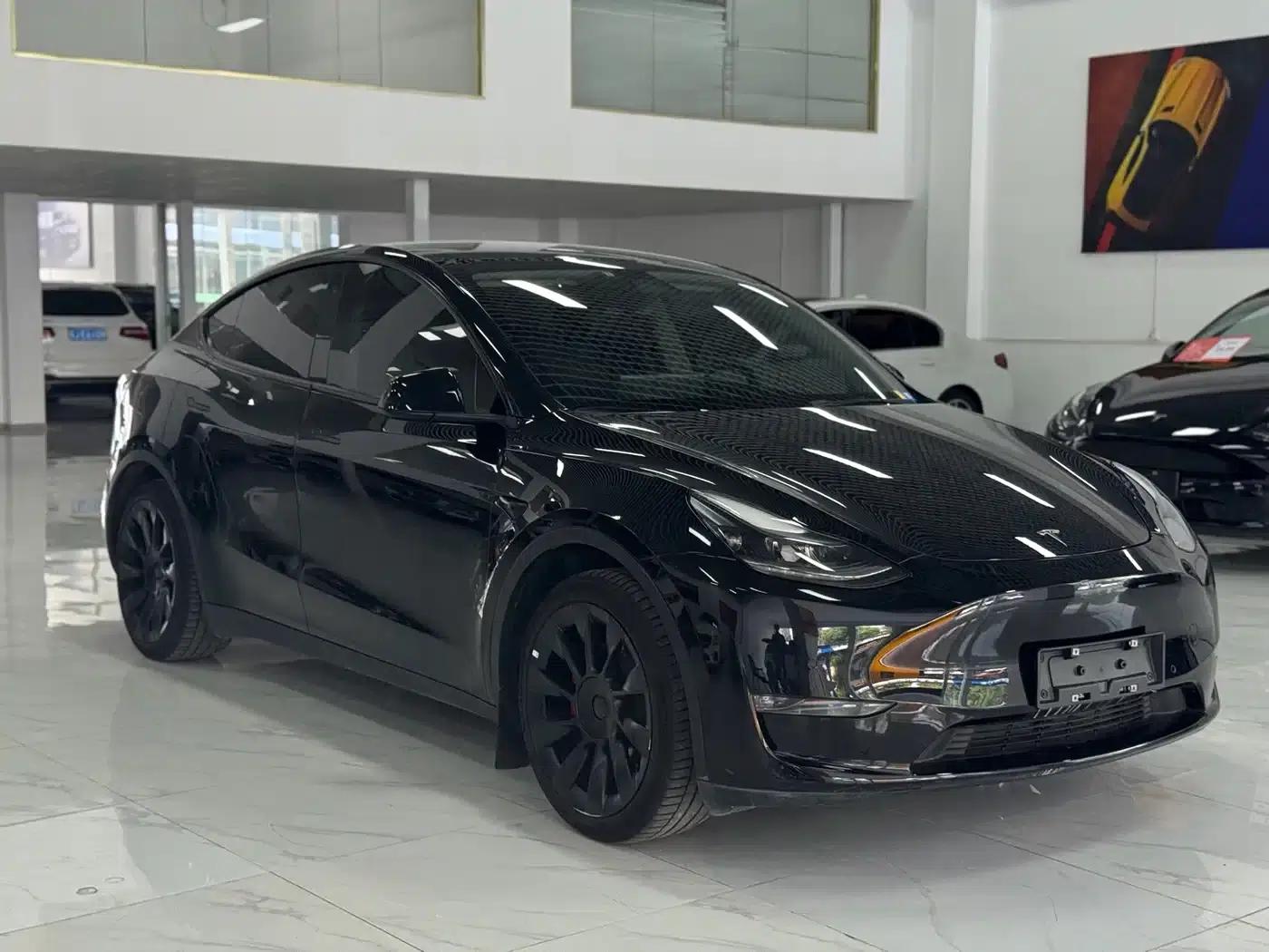 Model Y 2021 Standard Range Rear-Wheel Drive — миниатюра 3