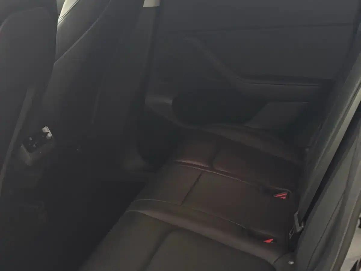 Model Y 2021 Standard Range Rear-Wheel Drive — миниатюра 8