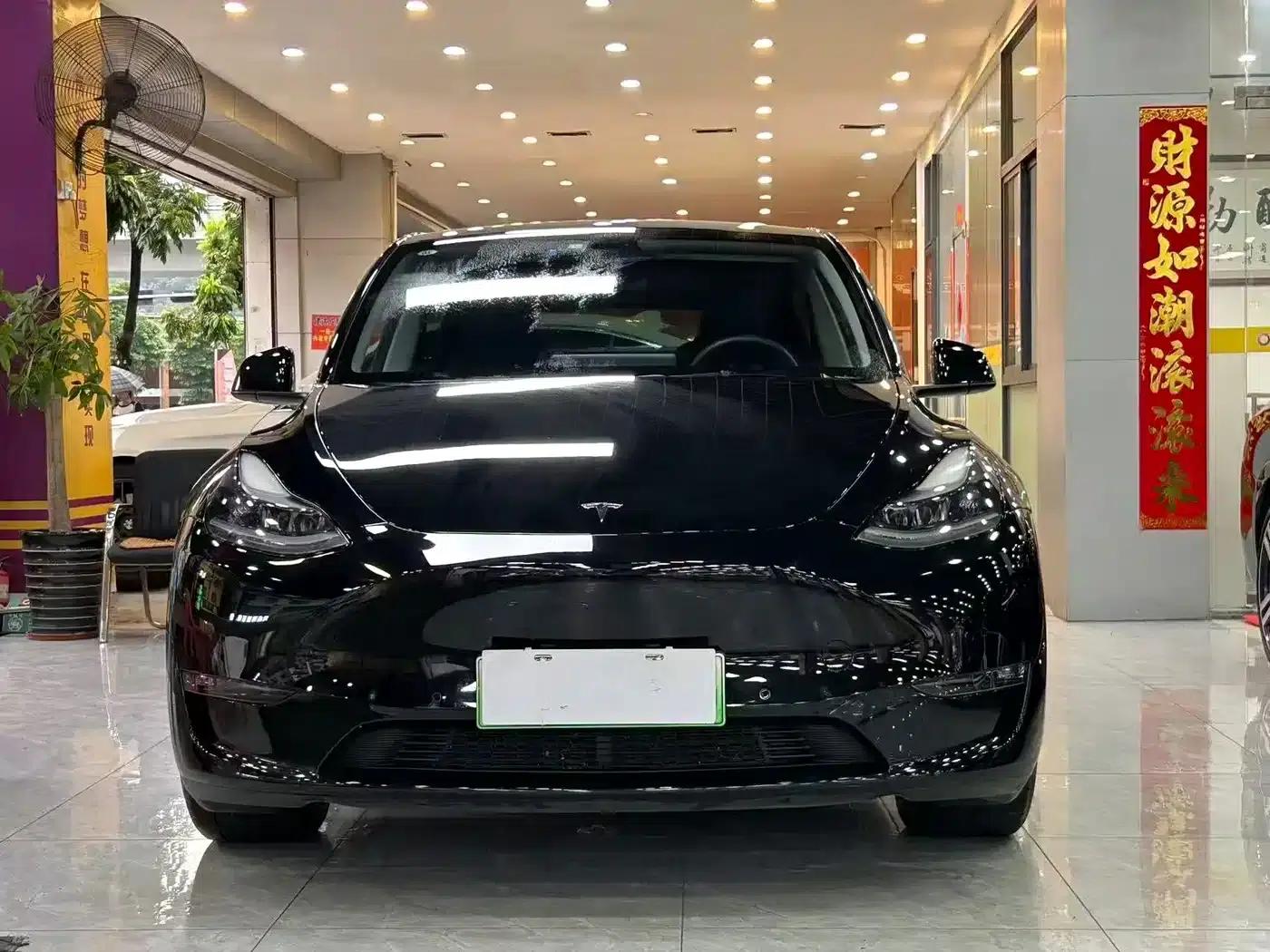 Model Y 2021 Standard Range Rear-Wheel Drive — миниатюра 2