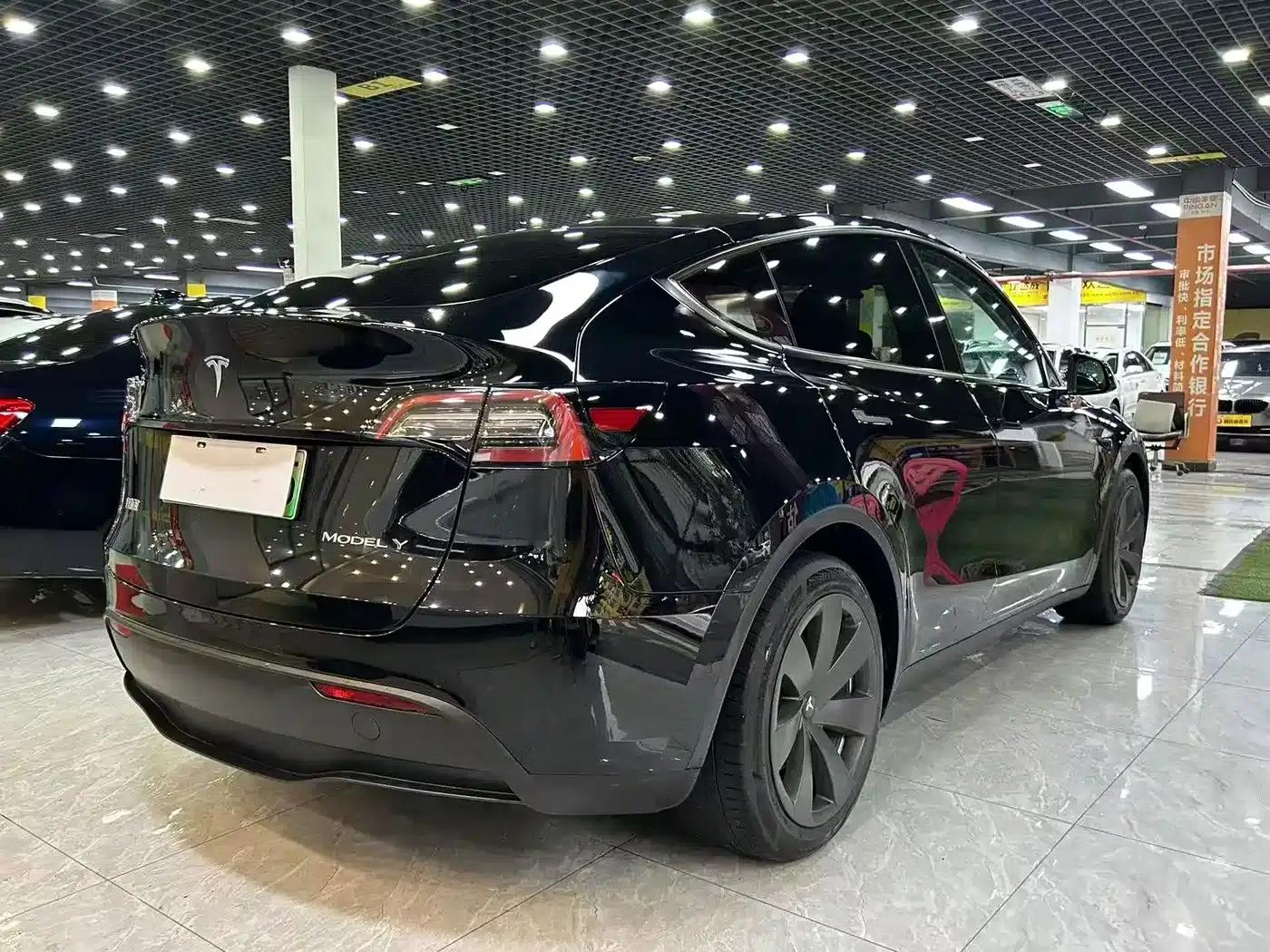 Model Y 2021 Standard Range Rear-Wheel Drive — миниатюра 8