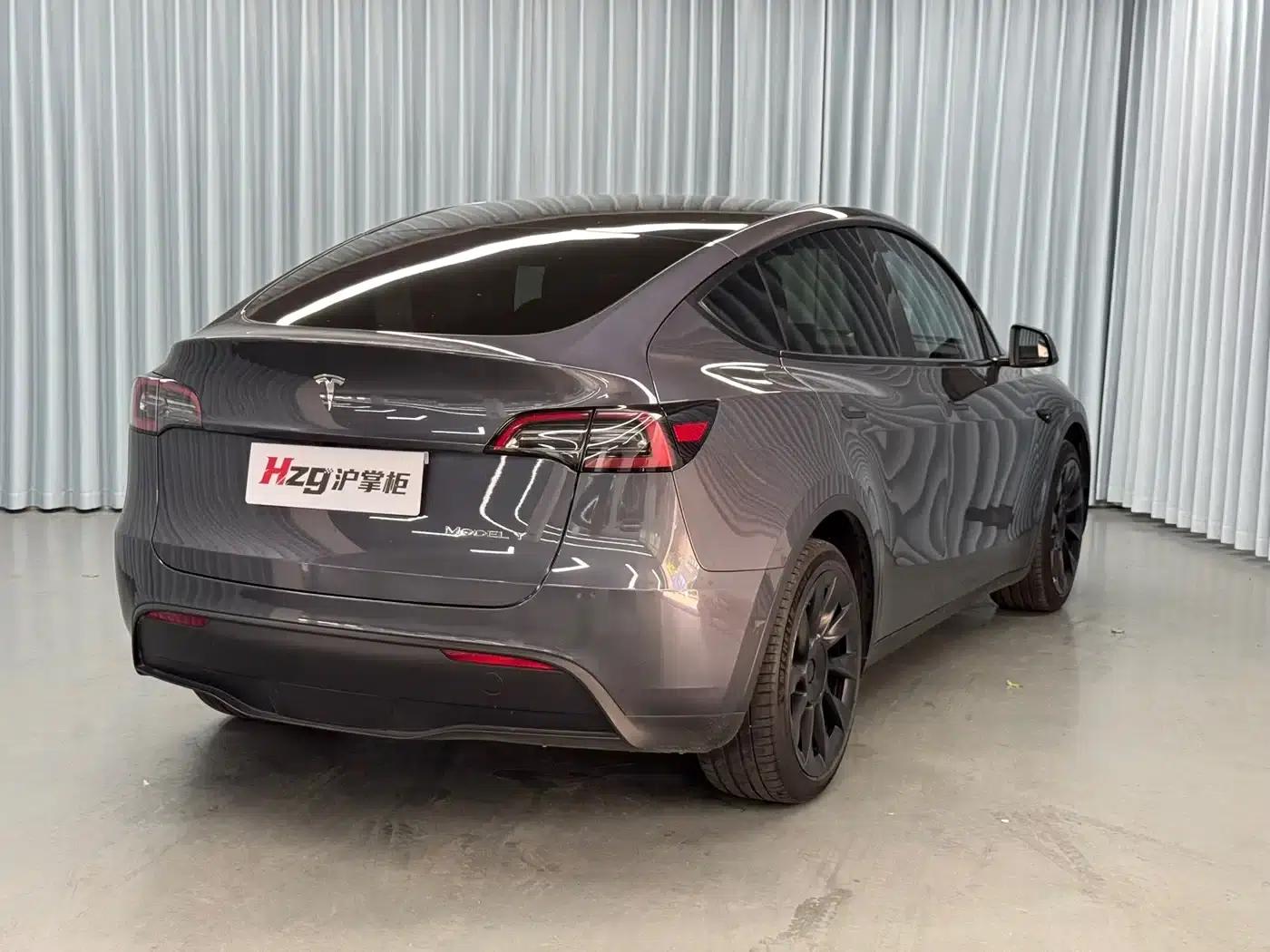 Model Y 2021 Long Range All-Wheel Drive — миниатюра 8