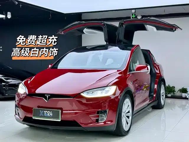 2017 Model X 100D Long Range