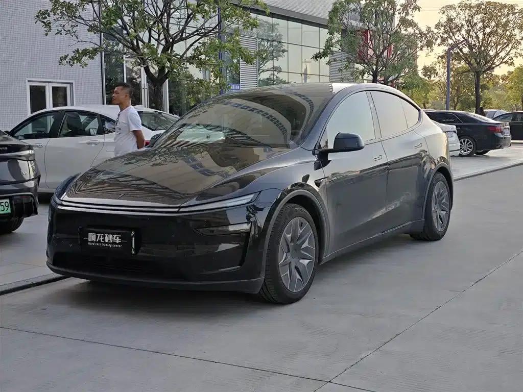 Model Y L 2025 Long Range All-Wheel Drive — миниатюра 1