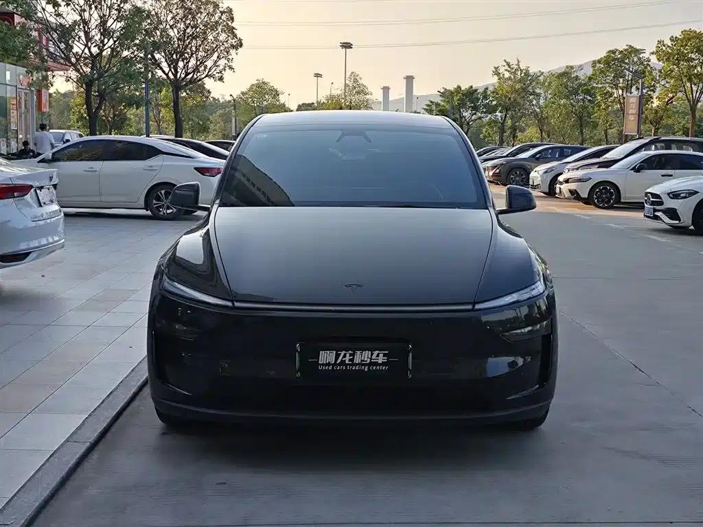 Model Y L 2025 Long Range All-Wheel Drive — миниатюра 2