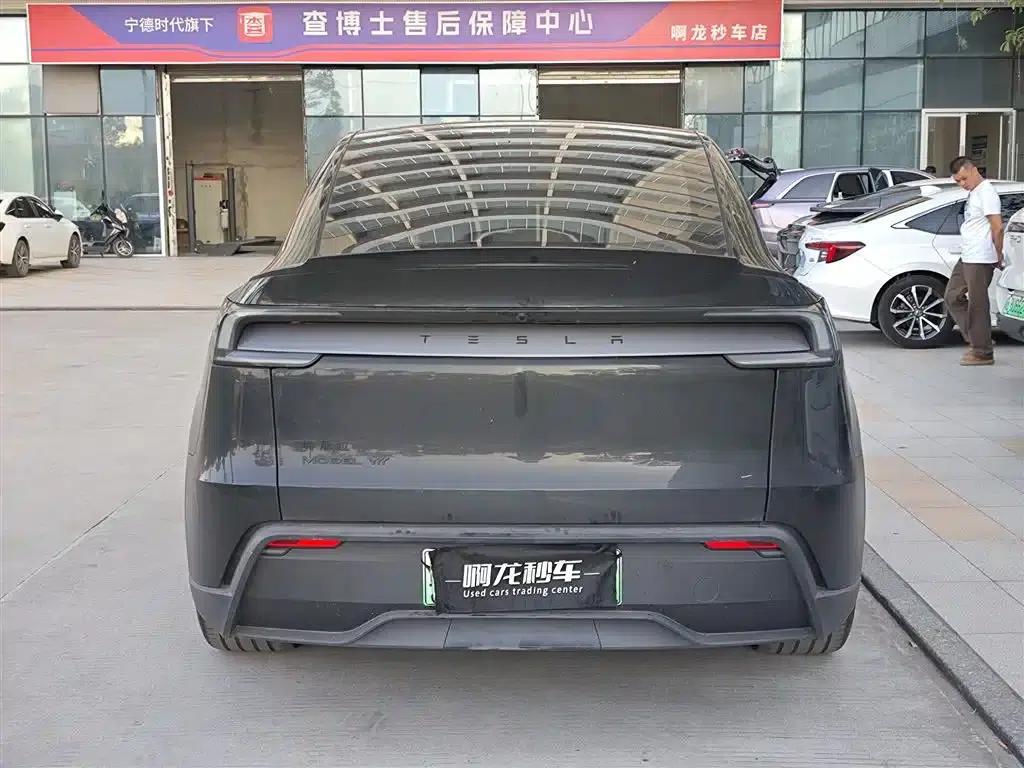 Model Y L 2025 Long Range All-Wheel Drive — миниатюра 8