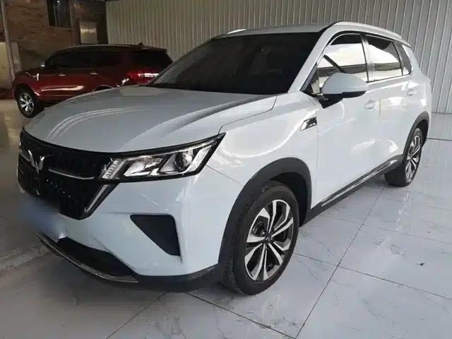 Wuling Xingchen 2022 2.0L DHT Electric Model