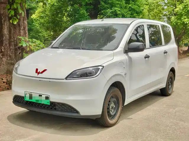Wuling Hongguang New Energy 2024 Pure Electric Version 300KM Standard Edition