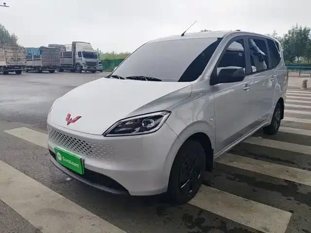 Wuling Hongguang New Energy 2025 Range-Extended Hybrid 50km Comfort Model