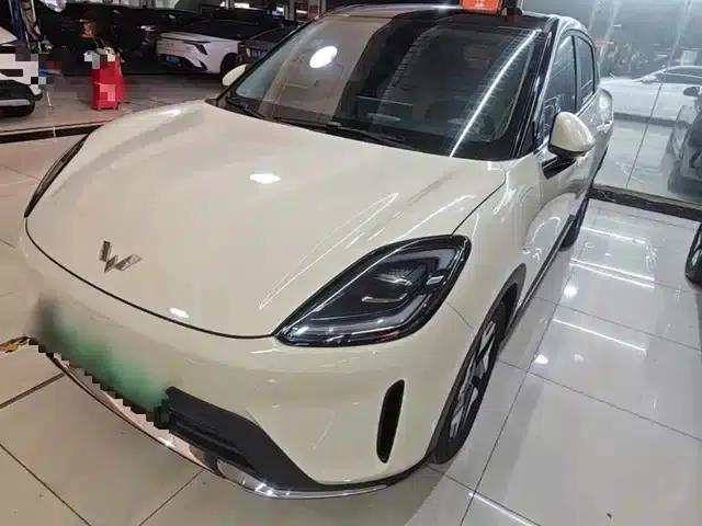 Bingo S 2025 Flagship Model 430km