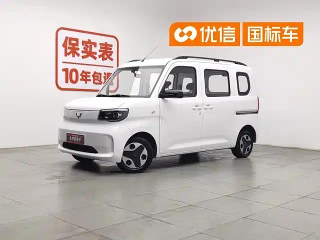 Wuling Sunshine New Energy 2025 Model 305km/h Progressive Edition