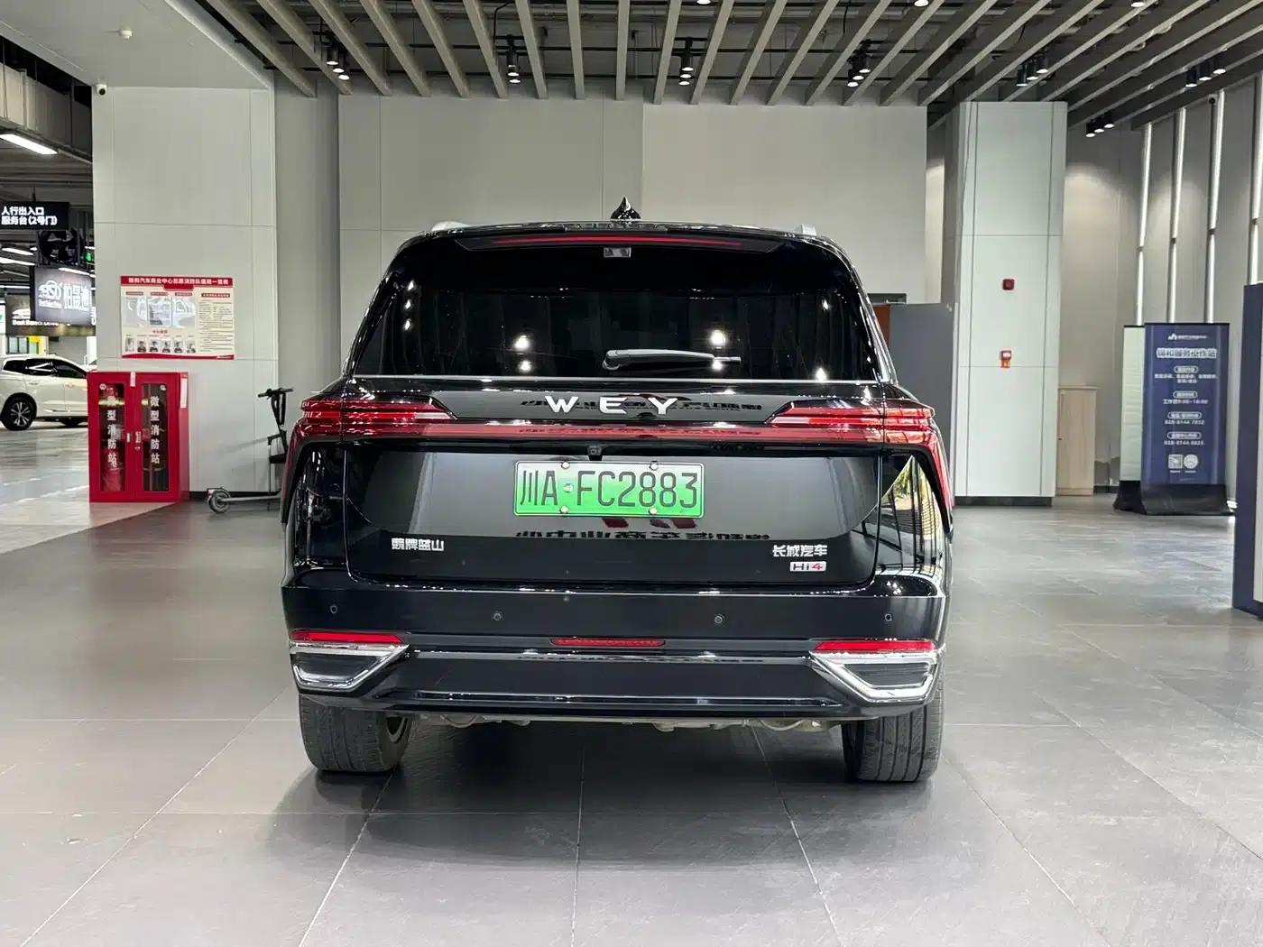 Weipai Blue Mountain 2025 4WD Max — миниатюра 6