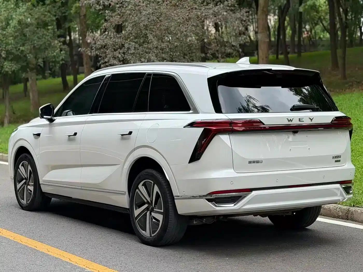 Weipai Blue Mountain 2025 4WD Max — миниатюра 4
