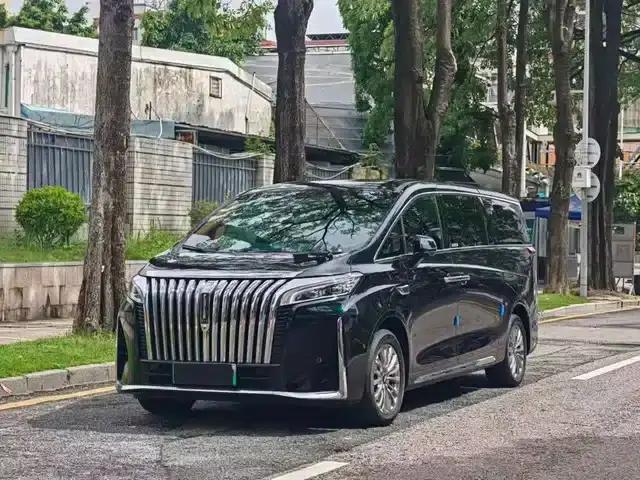 Weipai Gaoshan 2023 4WD Executive Extended Edition